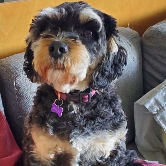 Meet your Posher, Hilary - Picture 1 of 1